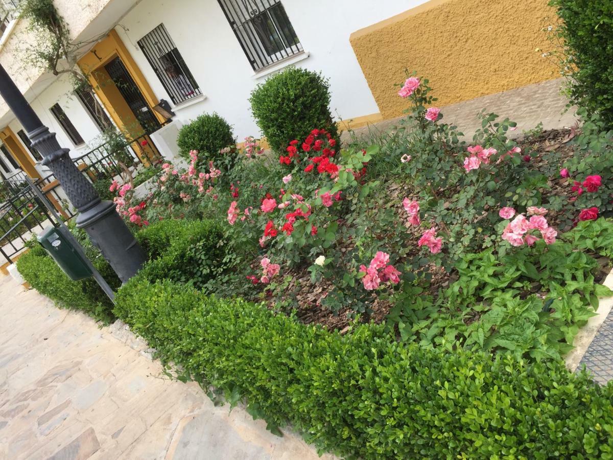 Panoramic city center flat in Arroyo De la Miel Apartamento Exterior foto